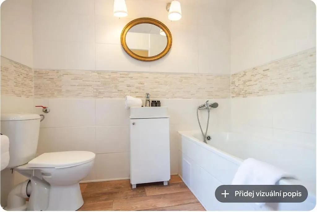 Nice One Bedroom Apartment In Zizkov Prague