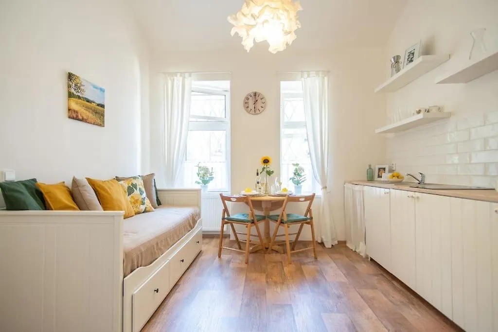 Nice One Bedroom Apartment In Zizkov Prague