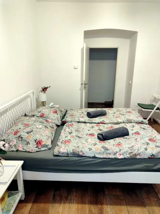 Nice One Bedroom Apartment In Zizkov Praag